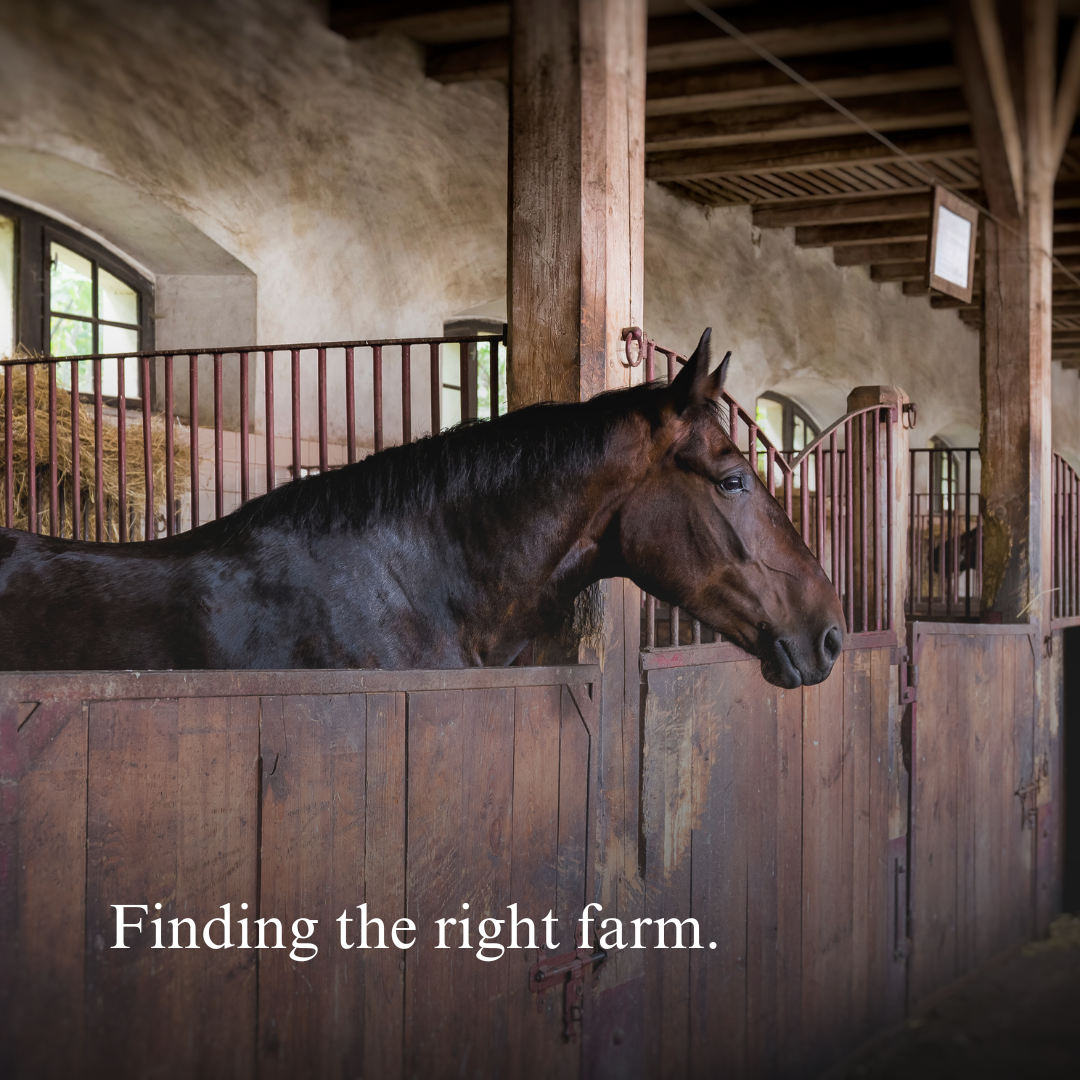 Your Guide to Finding the Perfect Farm